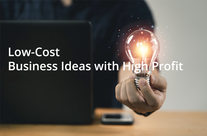 10 Low-Cost Business Ideas with High Profit