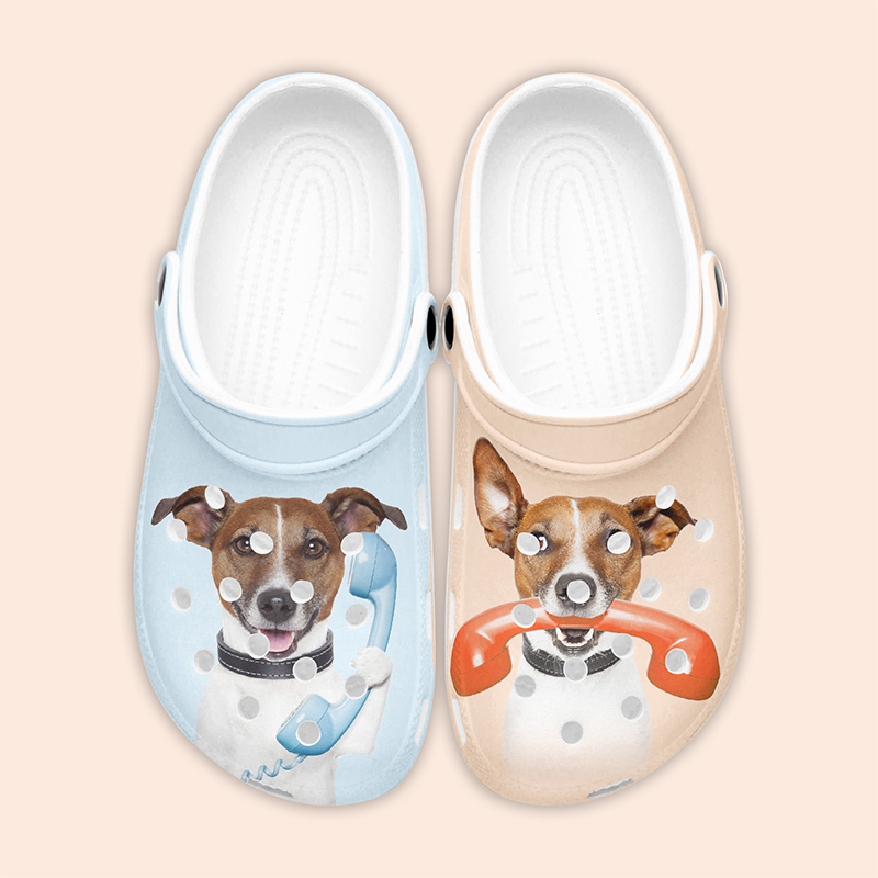 clog shoes A pair of clogs with a pet print