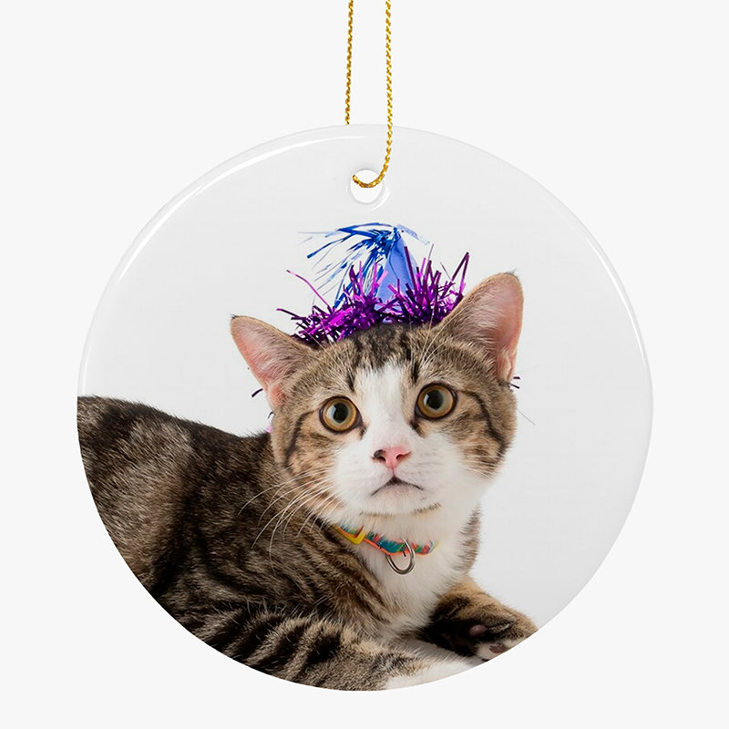 Custom cat ornaments Round ceramic ornaments with a cat