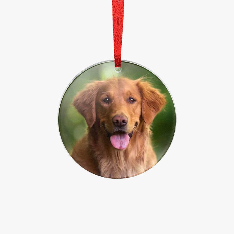 Custom dog ornaments Acrylic ornaments printed with a dog