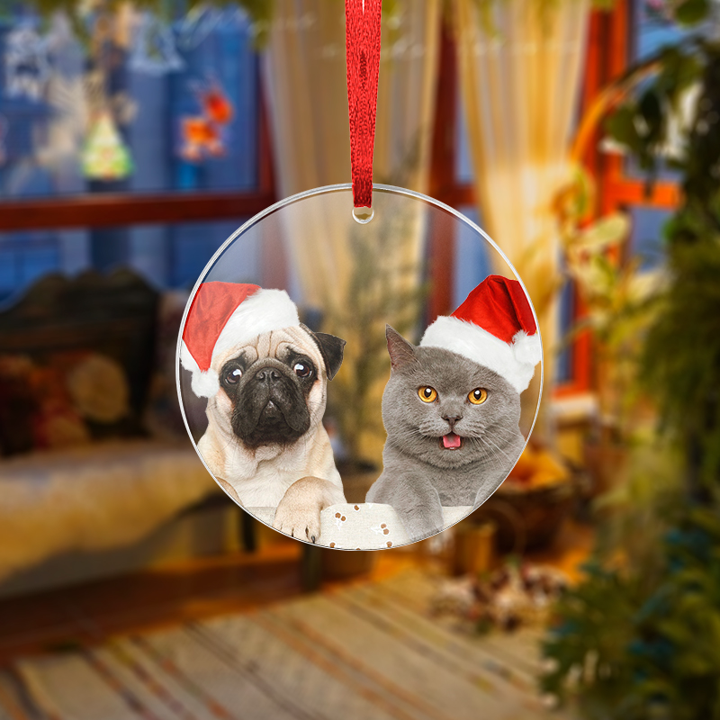 Custom pet ornaments Acrylic ornaments printed with a cat and dog wearing a Santa hat